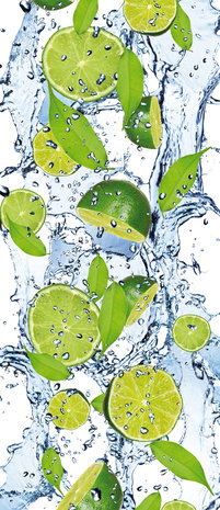 Fresh Limes Door Mural Photo Wallpaper 288VET