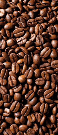 Coffee Beans Door Mural Photo Wallpaper 182VET