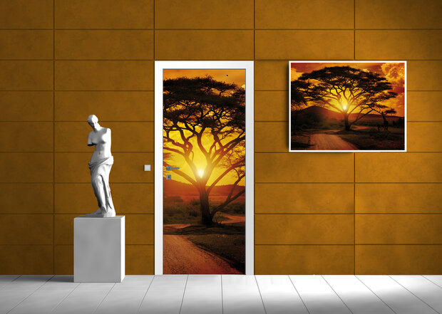 Africa Door Mural Photo Wallpaper 055VET