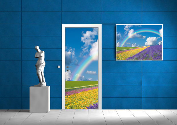 Flowers Rainbow Sky Abstract Door Mural Photo Wallpaper 018VET