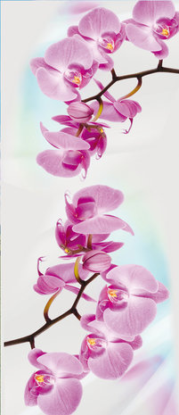 Orchid Flower Floral Door Mural Photo Wallpaper 116VET
