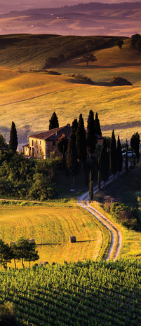 Tuscany Door Mural Photo Wallpaper 169VET