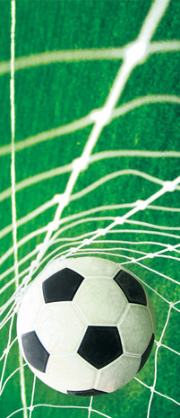 Ball in Goal Door Mural Photo Wallpaper 015VET