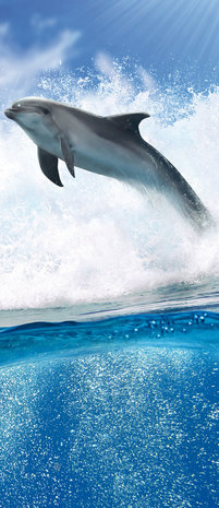 Dolphins Jumping on Waves Door Mural Photo Wallpaper 188VET