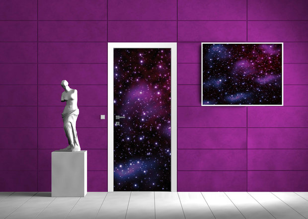 Cosmos Door Mural Photo Wallpaper 177VET