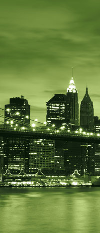 New York Brooklyn Bridge City Door Mural Photo Wallpaper 227VET