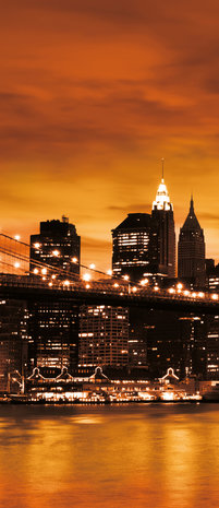 New York Brooklyn Bridge City Door Mural Photo Wallpaper 228VET