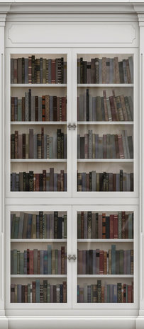 Library Full of Books Door Mural Photo Wallpaper 3689VET