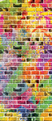 Graffiti - Colourful Bricks Door Mural Photo Wallpaper 3469VET