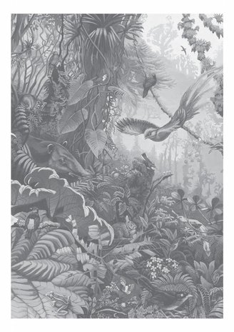 KEK Tropical Landscapes 4d WP-603 (Met Gratis Lijm)