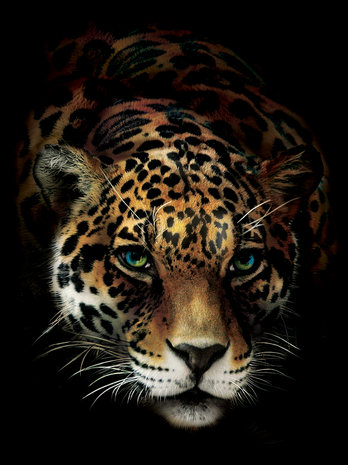 Jaguar Photo Wall Mural 10148VEA