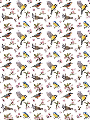 Little Birds and Floral Patterns Photo Wall Mural 10401VEA