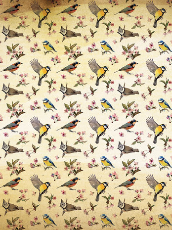 Little Birds and Floral Patterns Photo Wall Mural 10402VEA