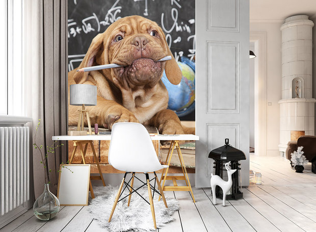 Teacher Dog Photo Wall Mural 10430VEA