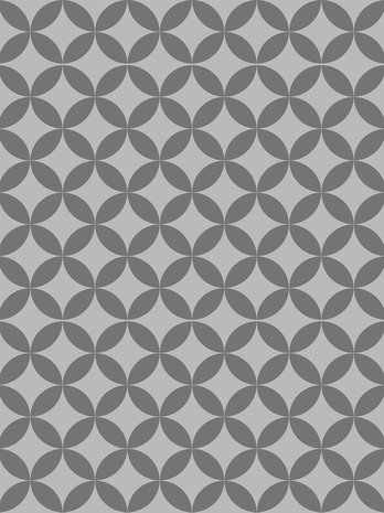 Gray Circles Photo Wall Mural 10691VEA