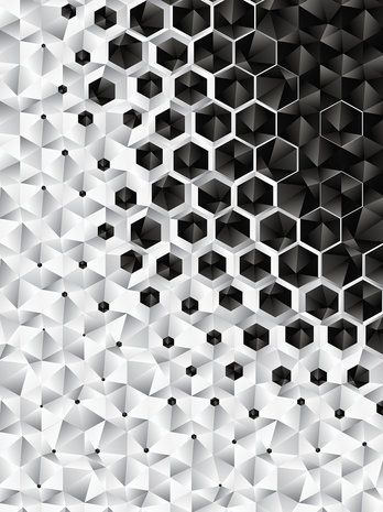 3D Hexagons  Photo Wall Mural 10685VEA