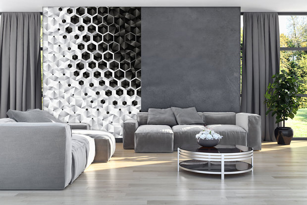 3D Hexagons  Photo Wall Mural 10685VEA