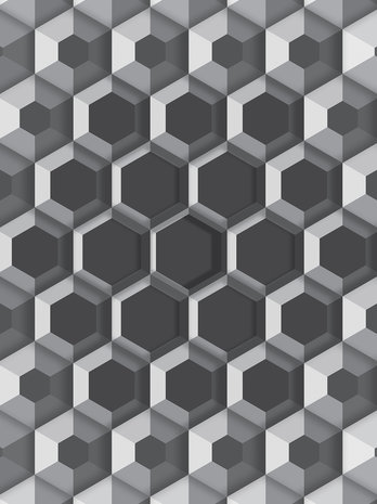 3D Hexagons Photo Wall Mural 10761VEA