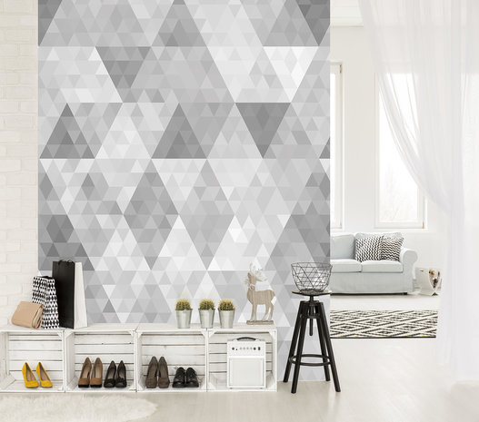 Triangle Photo Wall Mural 10834VEA