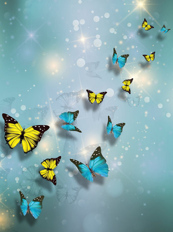 Yellow and Blue Butterflies Photo Wall Mural 10225VEA