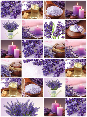 Lavender Collage Photo Wall Mural 10450VEA
