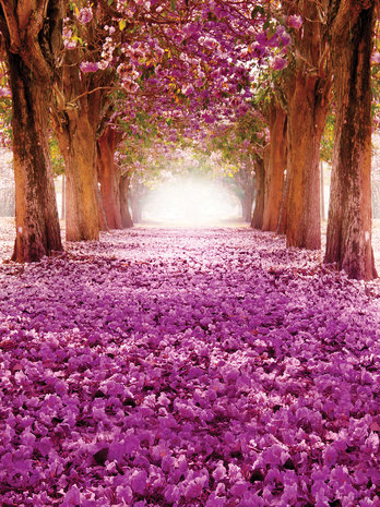 Purple Flowers Alley  Photo Wall Mural 10236VEA