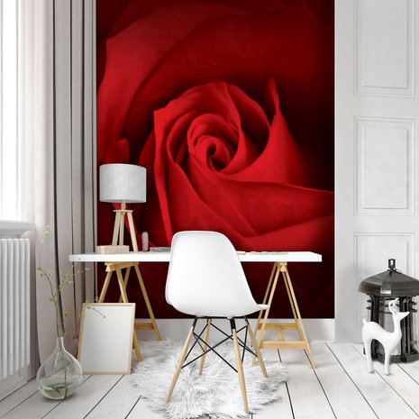 Rose Photo Wall Mural 10151VEA