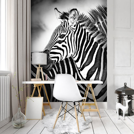 Zebra Black-White Photo Wall Mural 10159VEA
