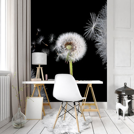 Dandelions Photo Wall Mural 10165VEA