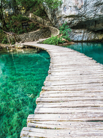 Bridge on a Turquoise Pond Photo Wall Mural 10220VEA