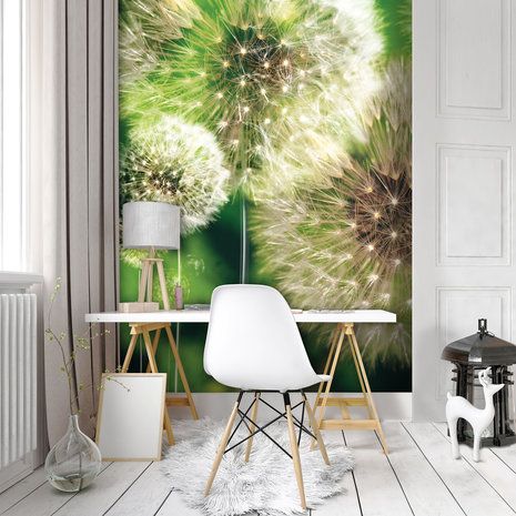 Dandelions on the Green Background Photo Wall Mural 10221VEA