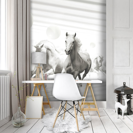 Abstract horses Photo Wall Mural 10154VEA