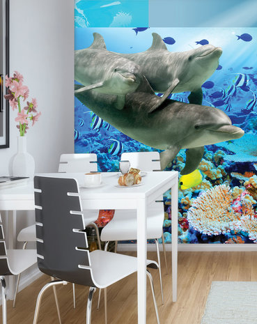 Dolphin Photo Wall Mural 20405VEA