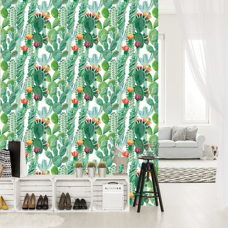 Cactus Photo Wall Mural 11082VEA