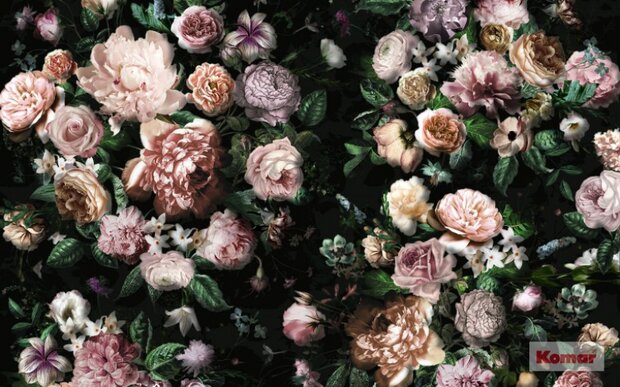 Komar PURE VICTORIA BLACK  VLIES P6035A-VD4