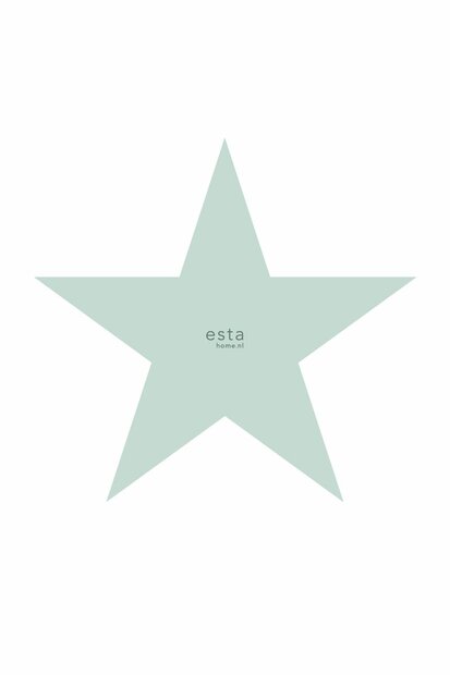 Esta Walls for Kids XL2 | Little Bandits 158841 (FREE Glue Included!)