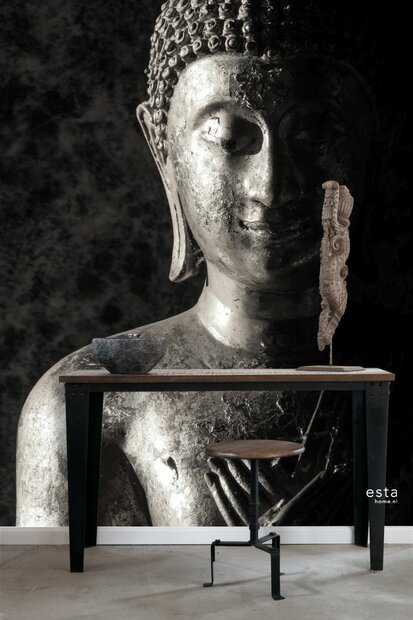 Esta XL2 - Photowalls | Boho Chic 158823 (FREE Glue Included!)