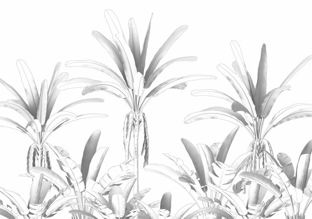 Komar Raw Musa R4-051