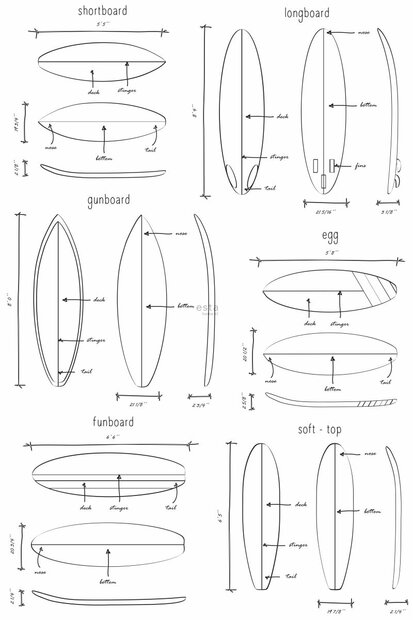 Esta Walls for Kids XL2 | Regatta Crew - Surf Edition 158848 (FREE Glue Included!)