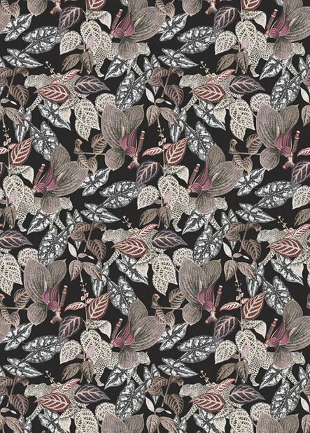 BehangExpresse Checking Out Nature TD4135 (FREE Glue Included!)