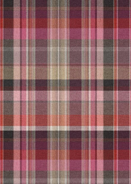 BehangExpresse Checking Out Nature TD4139 (FREE Glue Included!)