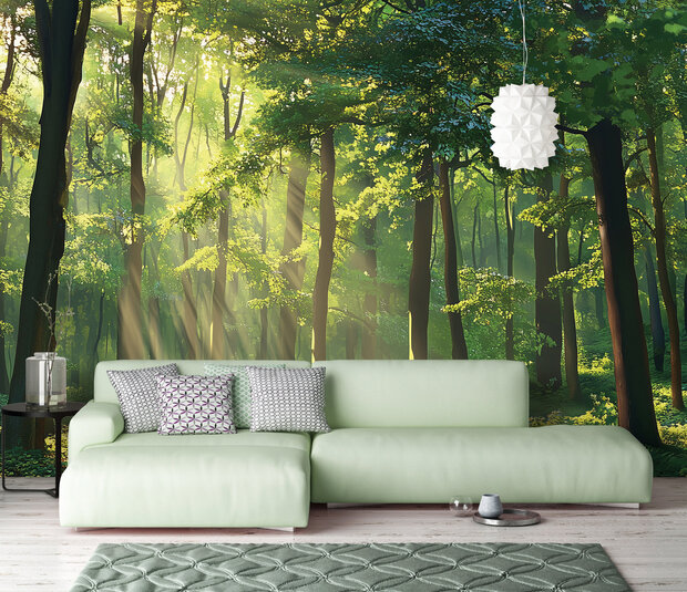 Bos Zonneschijn Fotobehang 15449