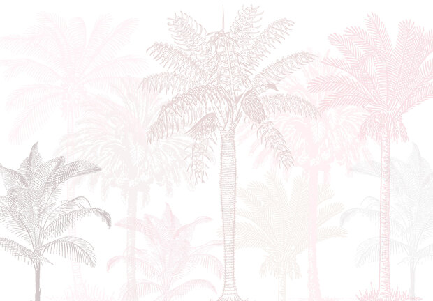 Palmbomen Wall Mural 14005