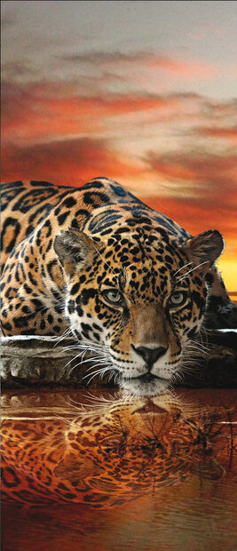 Jaguar Against the Setting Sun Door Mural Photo Wallpaper 126VET