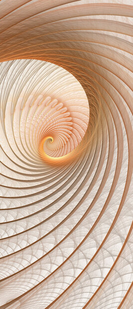 Abstract Door Mural Photo Wallpaper 308VET