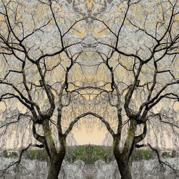 BN Wallcoverings No Limits 30585 Asian serenity