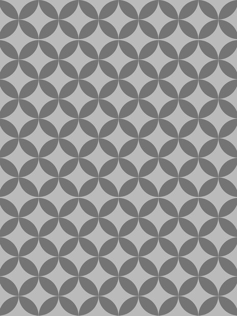 Gray Circles Photo Wall Mural 10691VEA