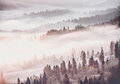 Misty Forest Wall Mural 13573