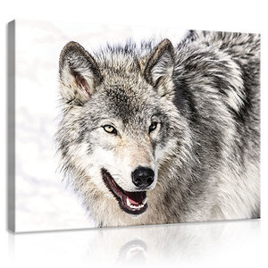 ze Sluit een verzekering af Groen Snow Wolf Canvas Schilderij PP20307O1 - Wallpaperphotomurals.com